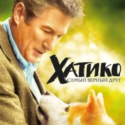 Фильм \"Хатико - самый верный друг\"🐶 (2009), один из самых сентиментальных  фильмов. Пересматривать его сложно решиться, по этой причине д… | Фильмы,  Собаки, События