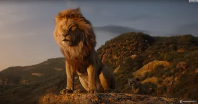 Королевский подарок: Первая реакция на фильм «Король Лев» — Новости на  Кинопоиске