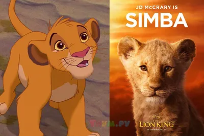Как создавалось рычание львов в мультфильме «Король Лев» - Звук