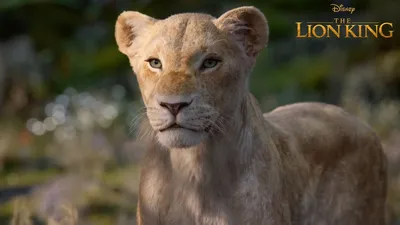 Трейлер нового «Короля Льва» побил рекорд по просмотрам