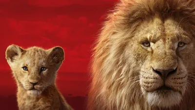14 фактов о мультфильме «Король Лев», которые откроют этот шедевр с новой  стороны / AdMe