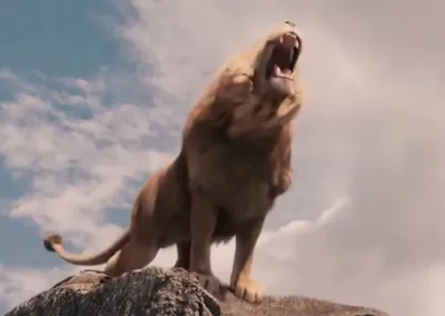Король лев»: цифровые «В мире животных» • Stereo.ru