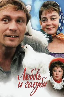 Любовь и голуби, 1984 — смотреть фильм онлайн в хорошем качестве — Кинопоиск