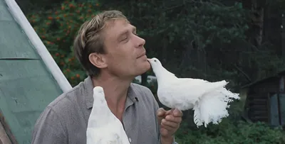 Кем работал Василий в фильме «Любовь и голуби»?