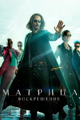 Фильм «Матрица» снова покажут в кинотеатрах - 3 сентября, 2019 Популярное  «Кубань 24»