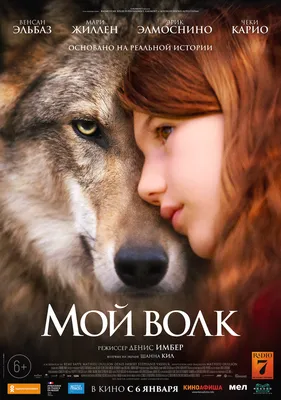Сериал «Волчонок» / Teen Wolf (2011) — трейлеры, дата выхода | КГ-Портал