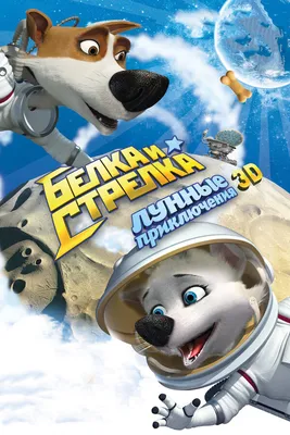 Белка и Стрелка: Лунные приключения, 2013 — смотреть мультфильм онлайн в  хорошем качестве — Кинопоиск