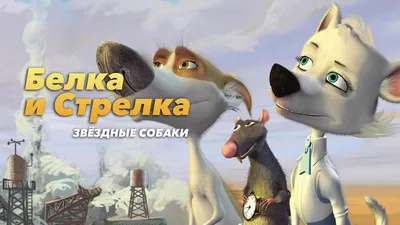 Звёздные собаки: Белка и Стрелка Мультфильм HD - YouTube