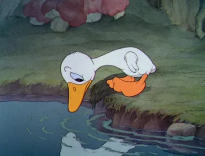 Гадкий утенок\" - пересмотрела мультфильм и нашла новый смысл. Белый лебедь  - это олицетворение счастья, а не успеха по жизни | Ирина Балахнина | о  жизни | Дзен