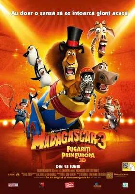 Фотографии, постеры и кадры из фильма Мадагаскар 3 в 3D.