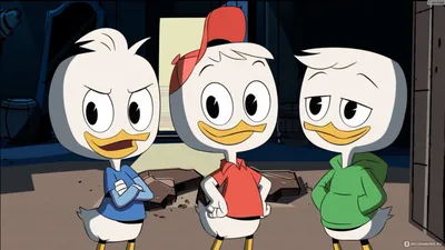 Утиные истории / DuckTales (2017) - «Всё тот же Дисней 20 лет спустя. Утки!  У-у-у! Старая любимая утка под соусом времени! » | отзывы