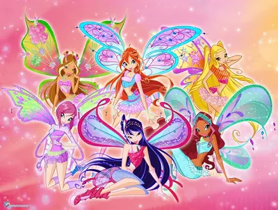 WINX Club (Клуб Винкс). Школа волшебниц. Спецвыпуск 2-3 (4 DVD) - купить  мультфильм на DVD с доставкой. Опасные школьные будни / В огне сражений /  Тайны GoldDisk - Интернет-магазин Лицензионных DVD.