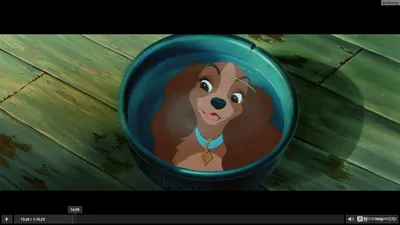 Леди и Бродяга (Lady and the Tramp) :: Дисней :: Мультфильмы / смешные  картинки и другие приколы: комиксы, гиф анимация, видео, лучший  интеллектуальный юмор.