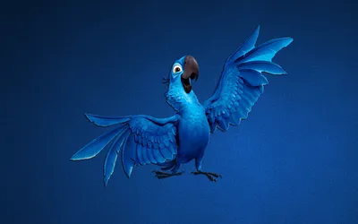 Рио-де-Жанейро Blu Txfalio, Рио-файл, galliformes, курица, мультфильмы png  | Klipartz