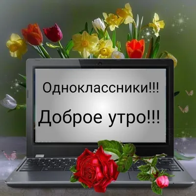 одноклассники #доброеутро | TikTok