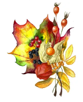 Мандала осени, приготовленные из сухих листьев и цветов Стоковое Фото -  изображение насчитывающей лепесток, цветы: 196313006