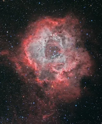 APOD: 2019 April 12 - A Cosmic Rose: The Rosette Nebula in Monoceros