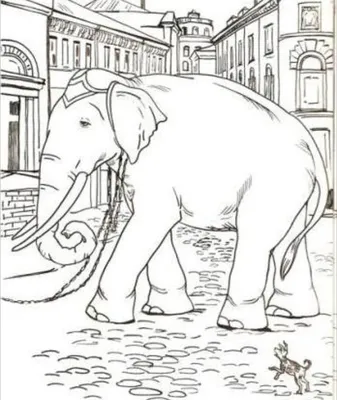 Рисунок к басне слон и моська - 81 фото