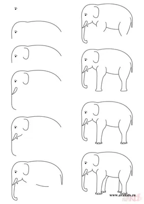 Слон и моська - Раскраски от сайта В мире сказки!