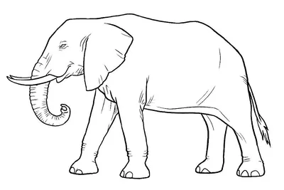 Конспект урока по литературному чтению на тему \"И.А. Крылов \"Слон и Моська\".  Особенности структуры басни. \" ( 3 класс. УМКПерспектива)