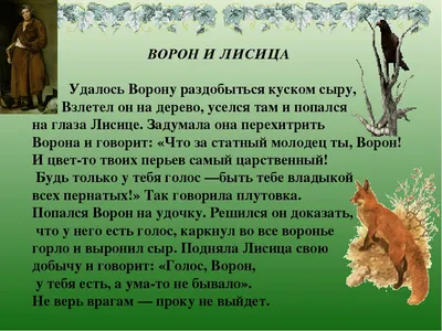 Ворона и лисица: истории из жизни, советы, новости, юмор и картинки — Все  посты | Пикабу