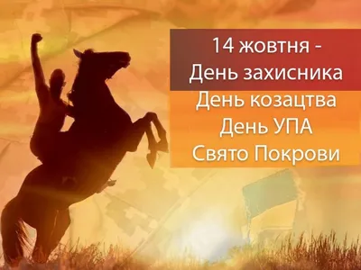 Цветок цветной бумаги в день защитника Отечества Украины Стоковое  Изображение - изображение насчитывающей день, защитник: 158740399