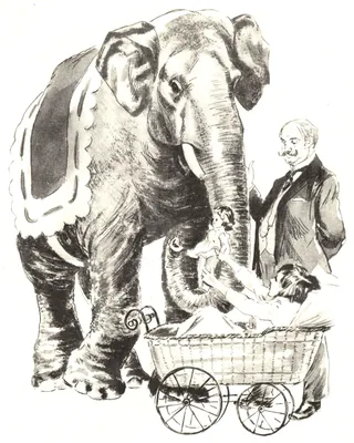 Иллюстрация к рассказу слон Куприна - 50 фото