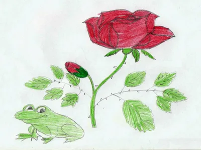 Ответы Mail.ru: кто главные герои сказки о жабе и розе