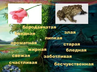Сказка О жабе и розе. Всеволод Гаршин - YouTube