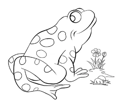 Урок по чтению для 4 класса. Тема: В.М.Гаршин «Сказка о жабе и розе»