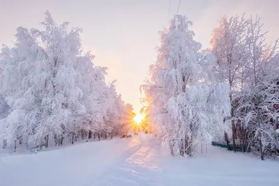 Стихотворение «Зимнее утро», поэт Ежэн Ангелина