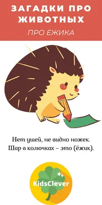 Книга - Загадки о зверятках. В лесу от Мозаика-Синтез, МС10872 - купить в  интернет-магазине ToyWay.Ru