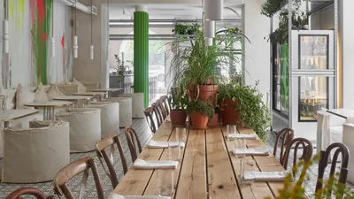 Зеленые кафе Петербурга: 9 мест с оранжереей, пальмами и растениями