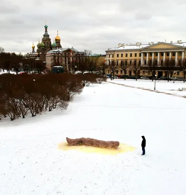 Тапочки Какашка купить, цена