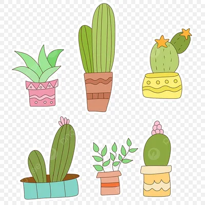 Рисунок кактусов, силуэт кактуса, лист, другие, кактусы png | PNGWing