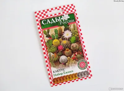 Грунт для кактусов 2,5л Нов-Агро - купить, цена и фото в интернет-магазине  Remont Doma