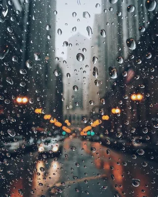 Капли дождя на стекле :: Дарья Совушкина – Социальная сеть ФотоКто