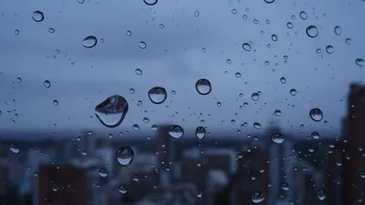 Картины Дождь \"Капли дождя на лобовом стекле\" - арт 009005003 | Купить в  интернет-магазине Фото в дом - Фото в дом