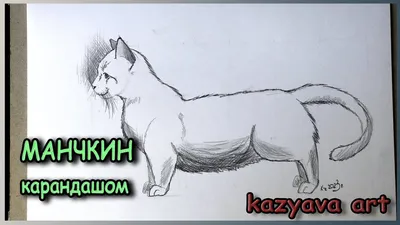 Рисунки карандашом кошки легкие - 71 фото