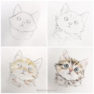 Котик рисунок карандашом легкий - 51 фото