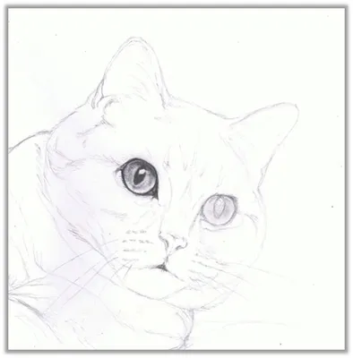Девушка-кошка красивая рисунок …» — создано в Шедевруме