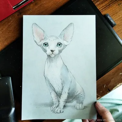 Рисунок кошки, очень реалистично, …» — создано в Шедевруме