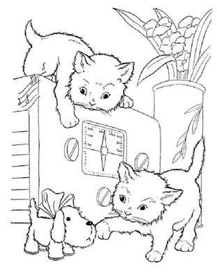 Картины: Рисунок кот, кошка сфинкс Цветные карандаши в интернет-магазине на  Ярмарке Мастеров | Картины, Санкт-Петербург - доставка по России. Товар  продан.