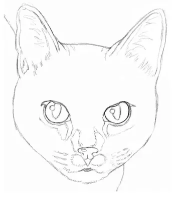 Рисуем карандашом танцующую кошку Учимся рисовать домашнего питомца  танцующую кошку карандашом. Из урока вы узнаете, как нарисовать карандашом  танцующую кошку по шагам. Урок рисования предназначен для детей, которые  хотят научиться рисовать кошек.