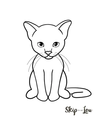 Котик простым карандашом в 2023 г | Рисунки, Кошки
