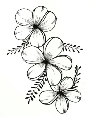 Цветы на 8 марта рисунок карандашом (17 шт)
