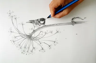 Самый лёгкий рисунок карандашом» — создано в Шедевруме