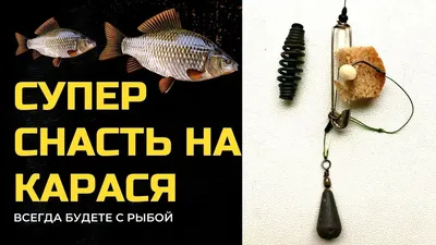Ловля карася маховой удочкой | Томская Федерация рыболовного спорта