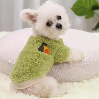 Кофта для собаки размер XS, Зеленая кофта с авокадо для собаки, Одежда для  маленьких собак (ID#1935324395), цена: 399 ₴, купить на Prom.ua