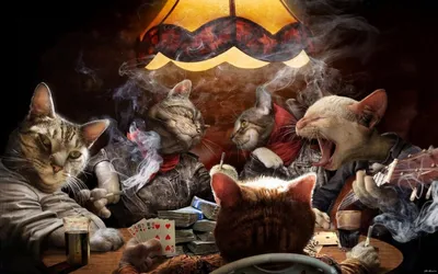 Покерные обои на рабочий стол - Poker Wallpapers